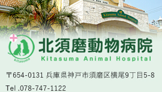 北須磨動物病院 〒654-0131 兵庫県神戸市須磨区横尾9丁目5-8 Tel.078-747-1122