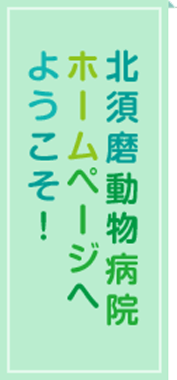 北須磨動物病院ホームページへようこそ！